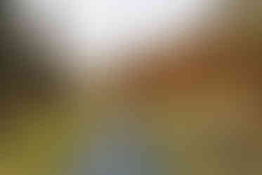 Libušský potok před vtokem do stejnojmenné retenční nádrže