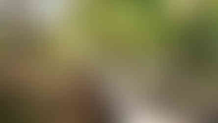 Cesta Českým středohořím