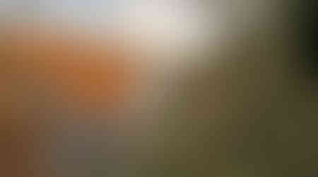 Pohled na vodní nádrž Štěchovice, která má rozlohu 114 hektarů