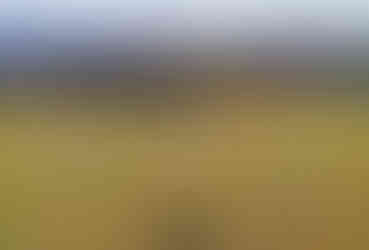 Květuška stojící na Kozákově skále a vzadu je Šestákova skála