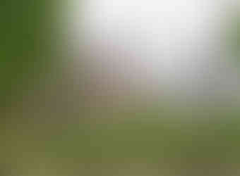 Roudnický zámek v lehkém jarním ranním oparu