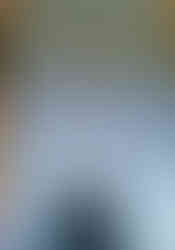 Jedna z umělecky nejcennějších hrobek vyšehradského hřbitova je hrobka bankéře Novotného