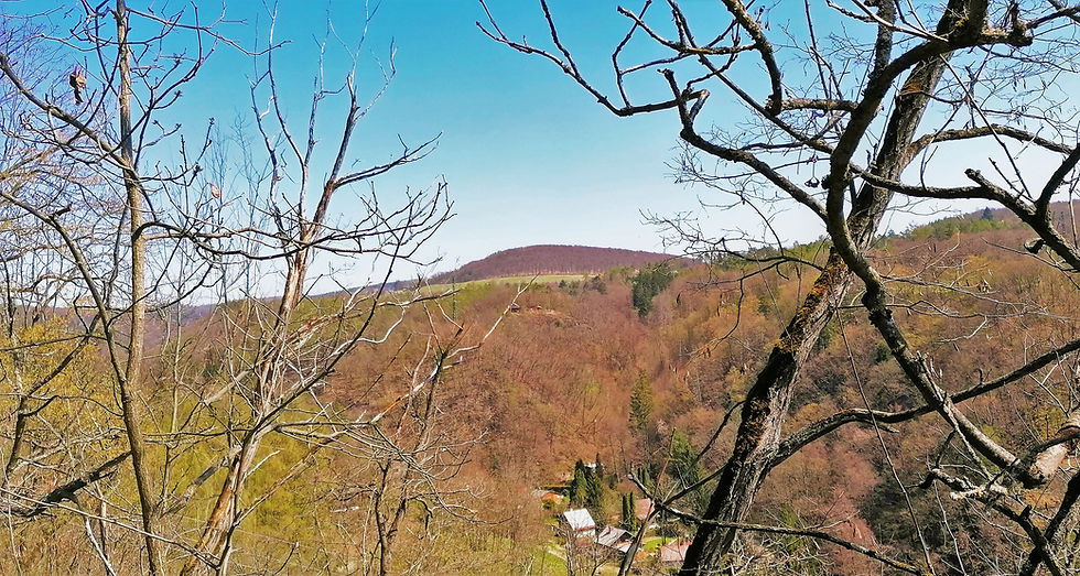 Vrch Ďábel se nachází blízko od Davle a je zde geometrický střed Čech