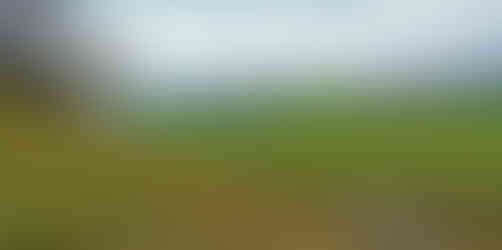 Z přírodní památky Hradiště vidíme zřetelně i nezaměnitelný vrch Radobýl