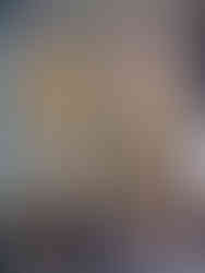 Barevně trochu ponurá, ale přesto slavnostní nálada baziliky svatých Petra a Pavla v Praze