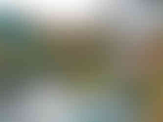 Místo Apten Hassa je největší poloostrov vybíhající do Štěchovické přehrady