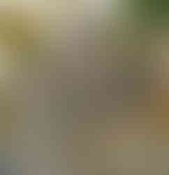 Hrob sochaře Břetislava Bendy na pražském Vyšehradě