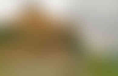 Pohled na zámek a kostel svatých Petra a Pavla v Mělníku