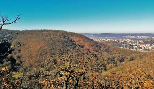 Hradiště Závist, jak jí nabízí pohled z Nickerleho vyhlídky