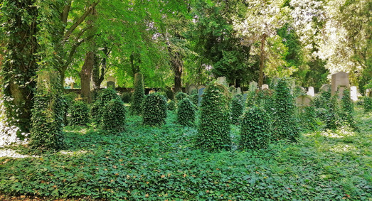 Na náhrobcích židovského hřbitova v Uhříněvsi spatříme tradiční náboženské znaky