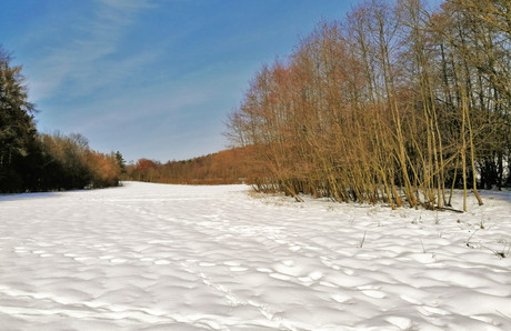 Pláně u obce Staré odvodňuje Kuzovický potok, který ve svém proudu unáší tisíce malých granátů