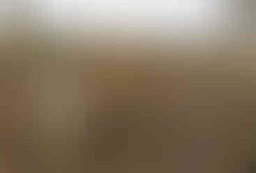 Na židovském hřbitově v Čížkovích se pohřbívalo až do 40. let 20. století