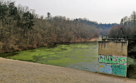 Retenční nádrž Libušská je součástí Přírodní památky Modřanská rokle