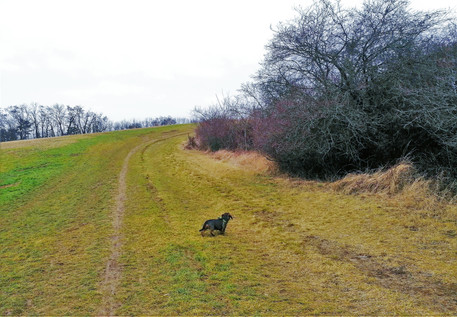 Cesta vedoucí ven nahoru z Čimického údolí