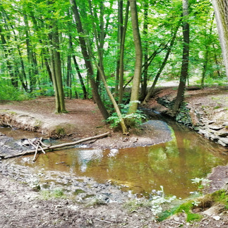 Osu PR Mýto tvoří říčka Rokytka