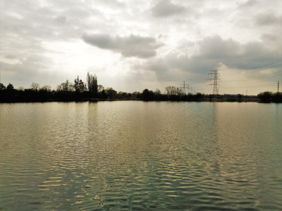 Hrčířský rybník je součástí Přírodní památky Hrnčířské louky