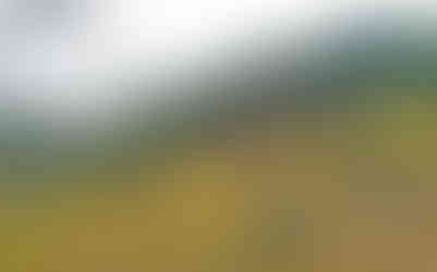 Ovocný sad pod Kozákovou skálou