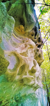 Voštiny, a to nejen ty na Dvořákově cestě, nejvíce ohrožují horolezci a turisté