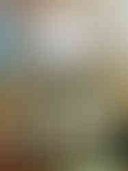 Svaté schody v kostele Panny Marie a svatého Karla Velikého jsou replikou Svatých schodů Lateránské baziliky v Římě