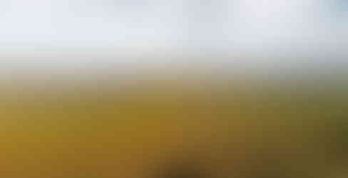 Milešovka, Kletečná, lom Kubačka při pohledu z vrchu Radobýl