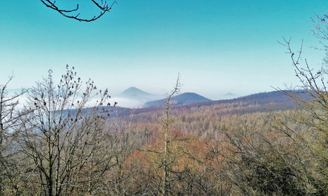 Milešovka (vlevo) cudně vystupující z mlžného oparu při pohledu z vrchu Košťálov