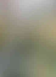 Na Vyšehradě našla místo odpočinku i nejslavnější česká spisovatelka Božena Němcová