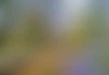 Podzimní paleta v zámeckém parku Peruc