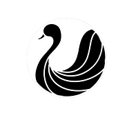 Untitled design (2).png