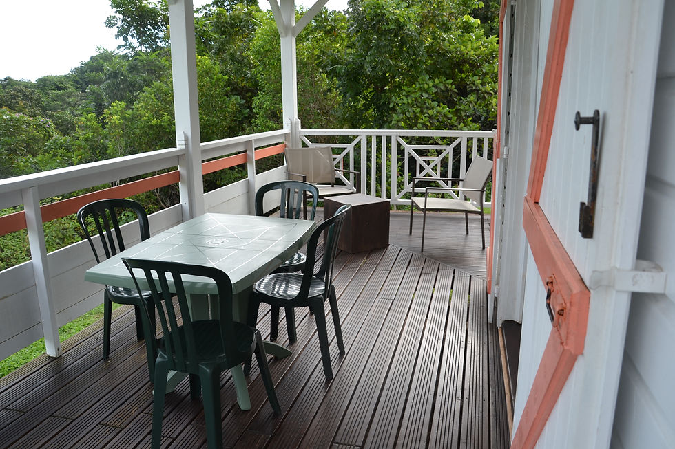 La terrasse