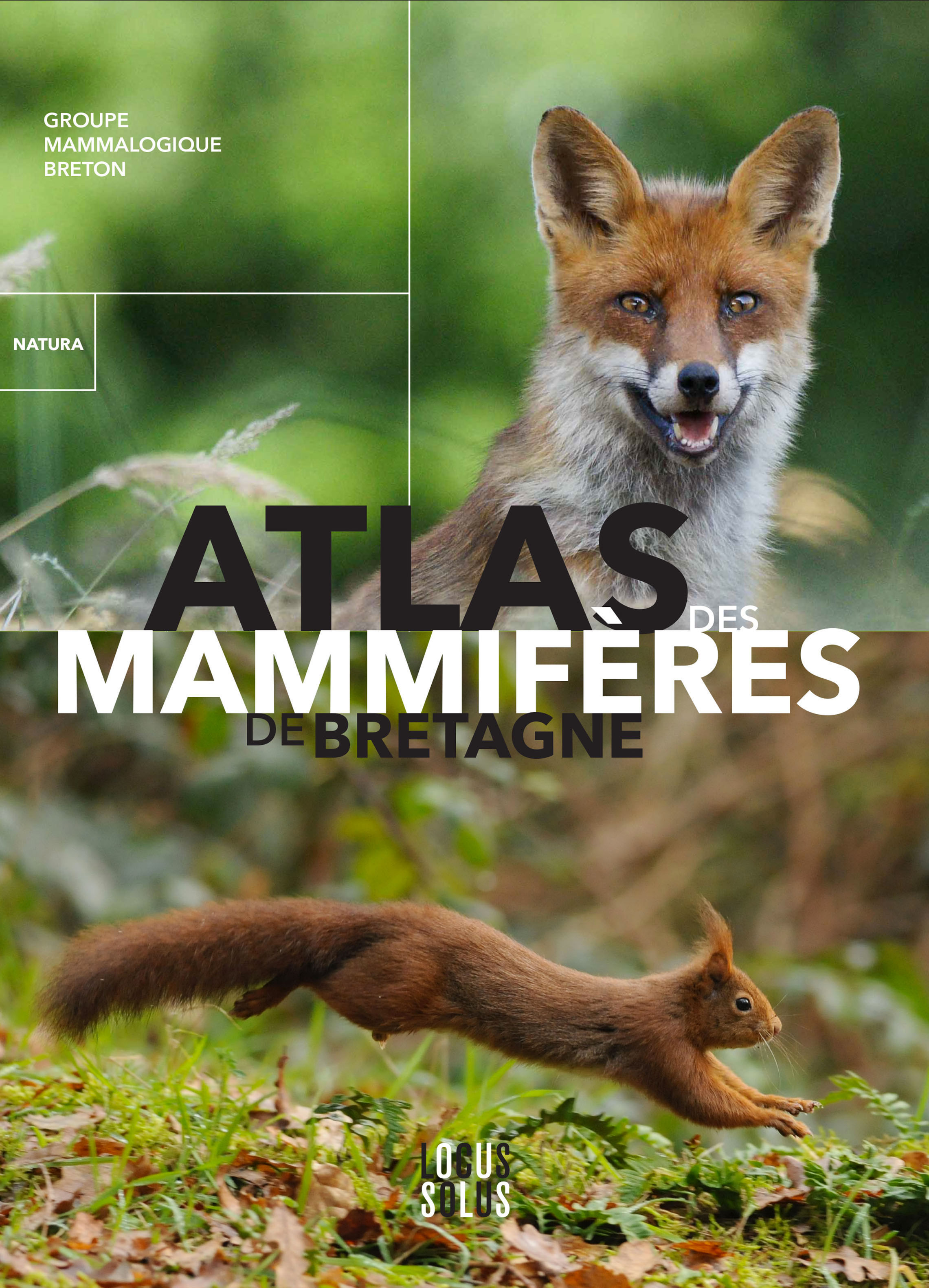 Atlas des Mammifères de Bretagne