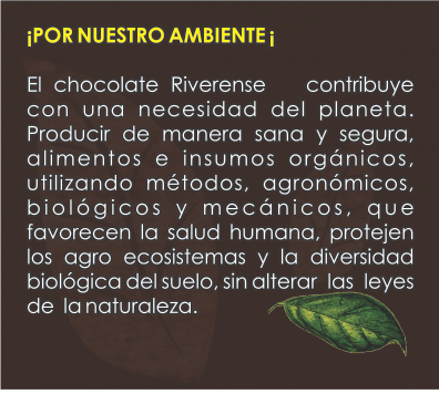 AMBIENTE.png