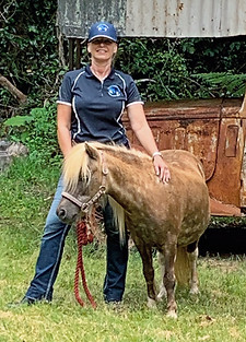 Trusting Connections Equine Assisted Psychotherapy