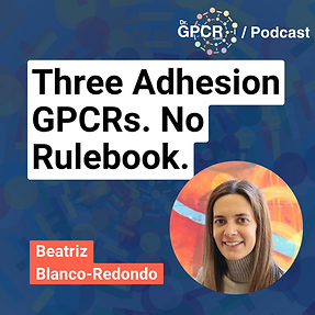 Beatriz Blanco-Redondo: Adhesion GPCR Discovery in Drosophila