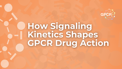 how-signaling-kinetics-shapes-gpcr-drug-action