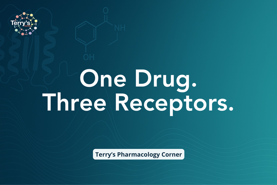 Multi-target GPCR ligands — hybrid ligand design and incretin pharmacology | Terry's Corner