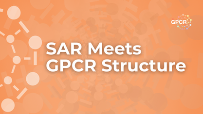 Structure Based Design of Modulators of Purinergic GPCRs