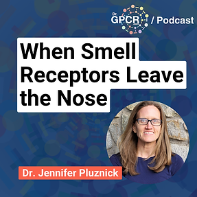 Jennifer Pluznick: Olfactory Receptors in the Kidney and the Gut-Microbe Signal