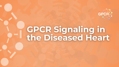 gpcr-signaling-ipsc-derived-cardiac-disease-models