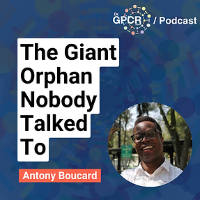 Antony Boucard: Adhesion GPCRs and the Molecular Code of Synapse Formation