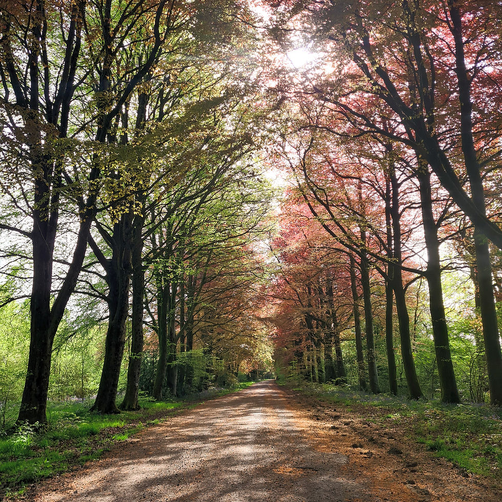 Counselling in Salisbury - Therapeutic Atmosphere