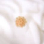Miniatura: Anel Buque Mini Rosas