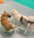 Play Groups by Size & Play Style!