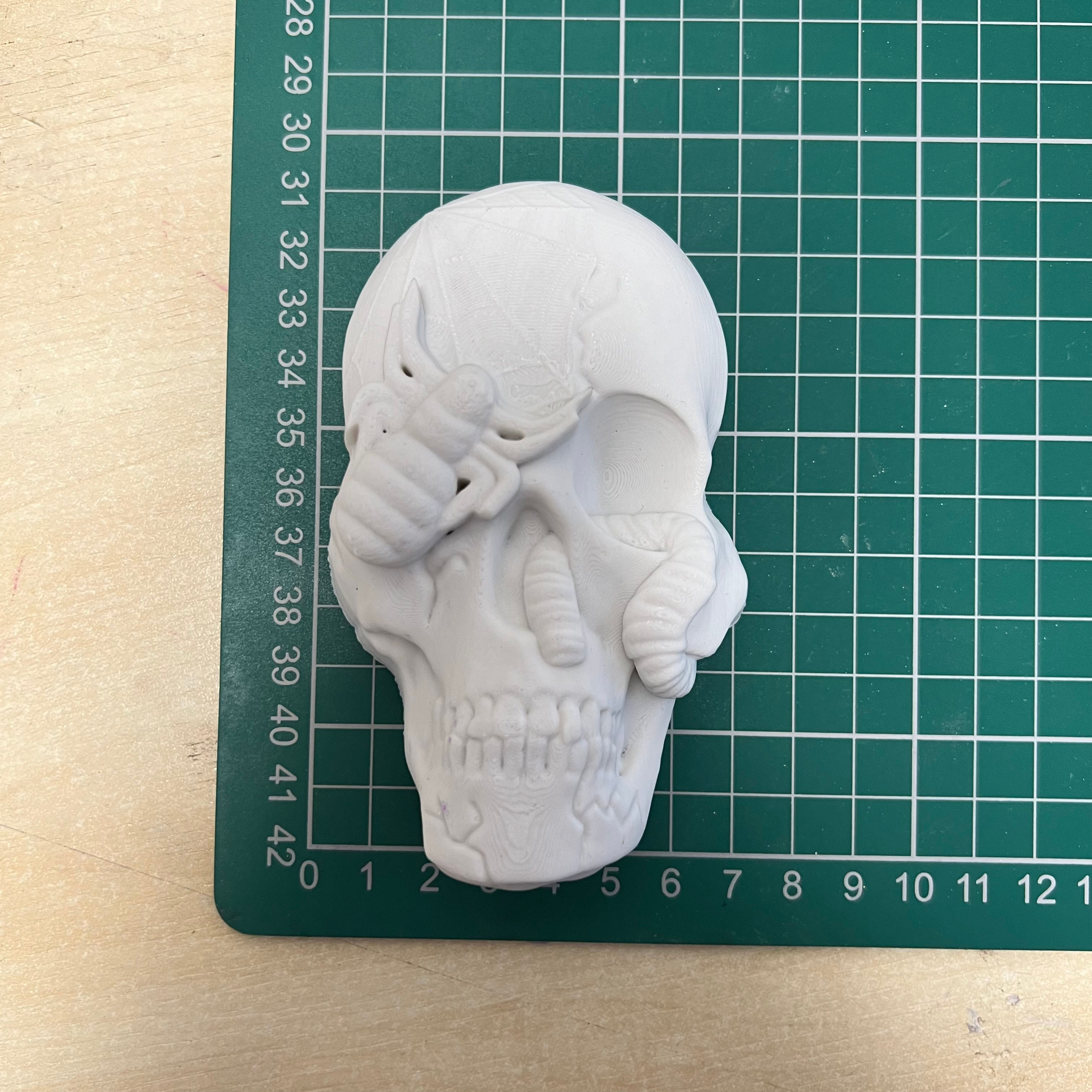 Infested Skull Medium