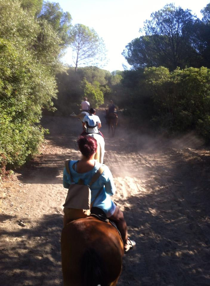 ruta territorio lince doñana