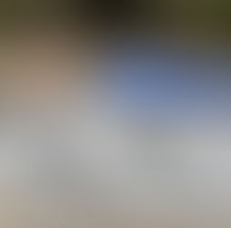 What to do Before, During, and After an Artist Residency Program 