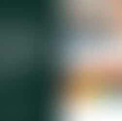 Learning about Contemporary Art: What is Social Engagement Art?