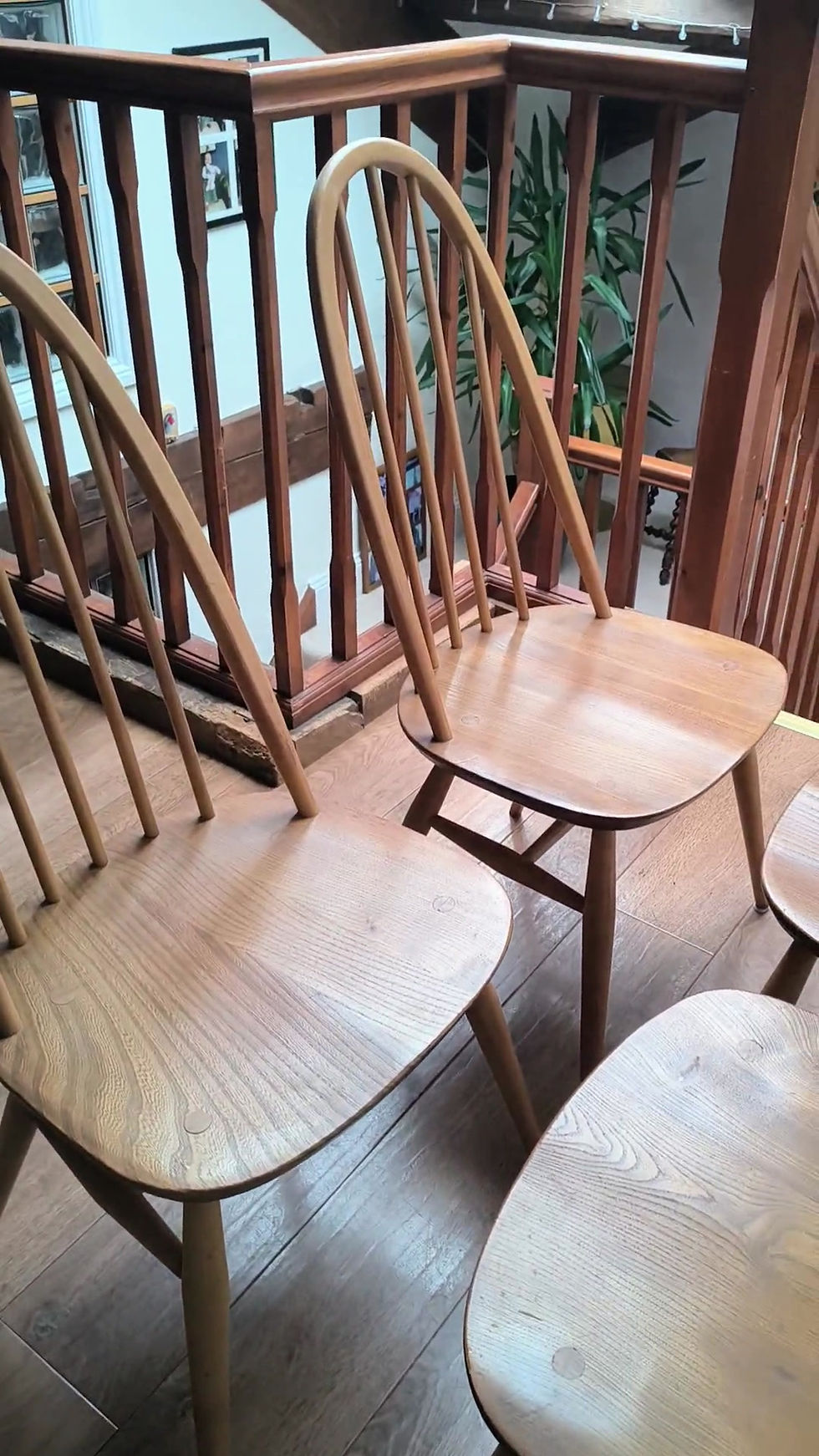 Thumbnail: A Set Of 4 Ercol Windsor Quaker Dining Chairs In Blonde Elm And Beech Wood