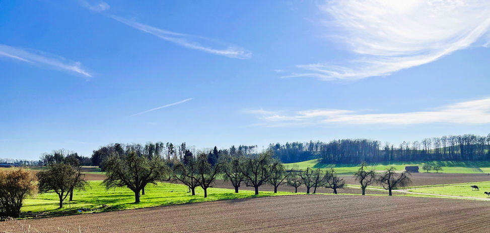 "3 Seen", Aussicht Süd-West