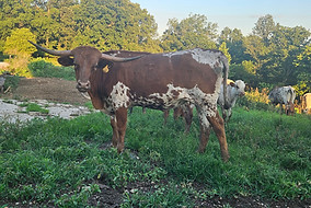 tuxsritajuly2023.jpg