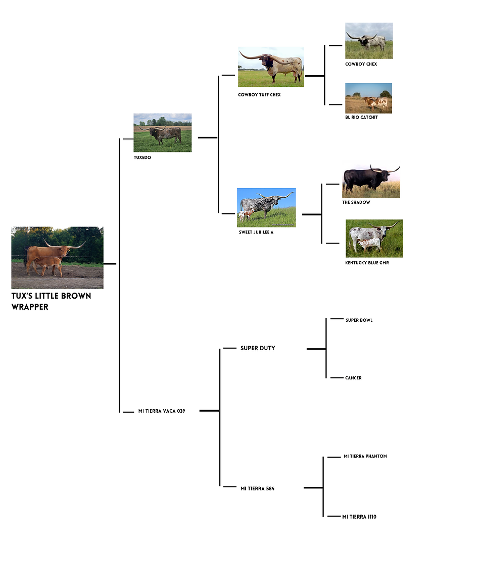 Tux's Little Brown Wrapper Pedigree for web.png